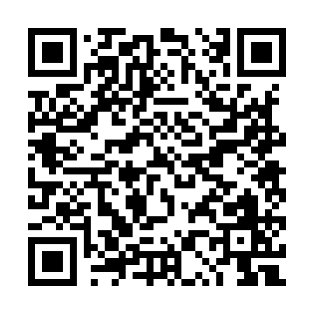 QR code for DP291