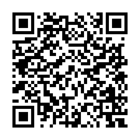 QR code for DP311