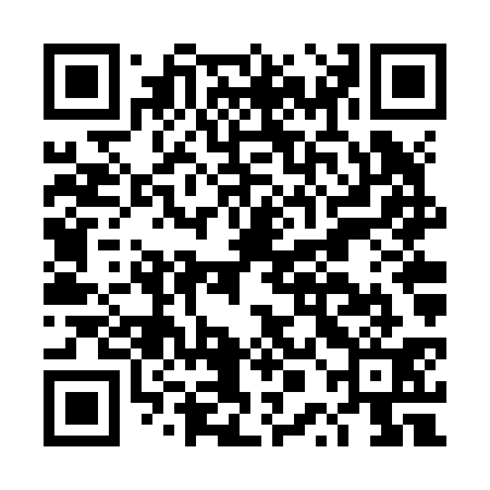 QR code for DPFZ31