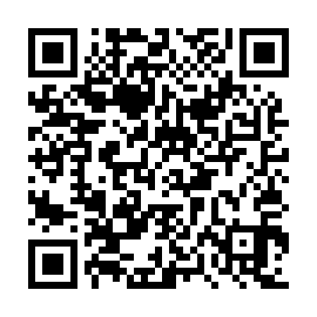 QR code for DPMM11