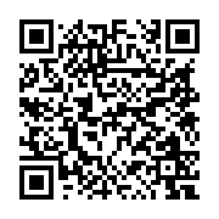 QR code for DQ383