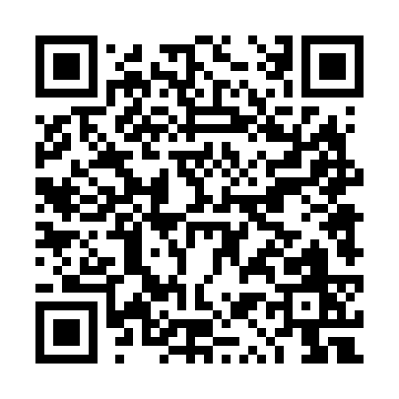 QR code for DQ463