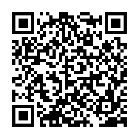 QR code for DQG336