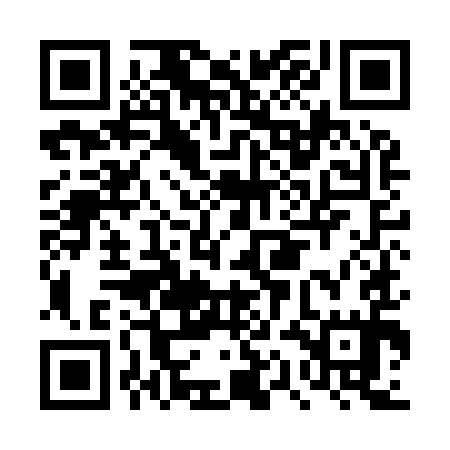 QR code for DQII95