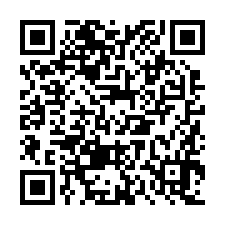 QR code for DQJ294