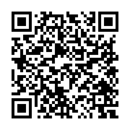 QR code for DS394