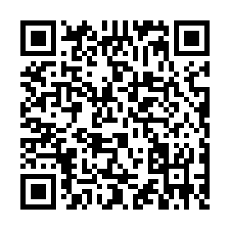 QR code for DS453