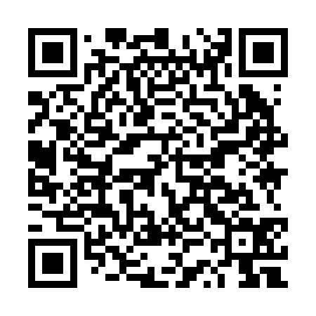 QR code for DSI234