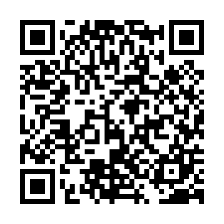 QR code for DSM007