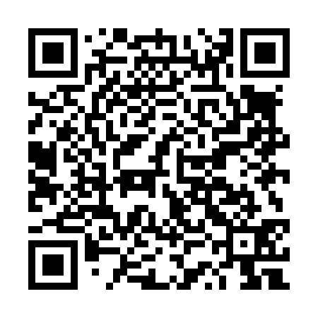 QR code for DSML31