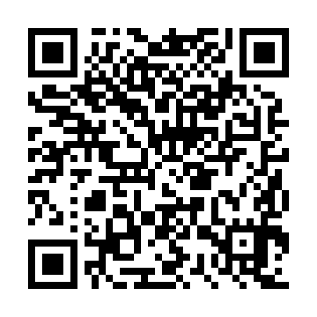 QR code for DSR895