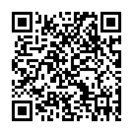QR code for DTOY20