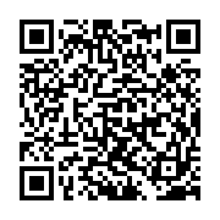 QR code for DTYZ13
