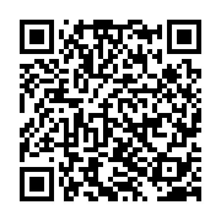 QR code for DXN379