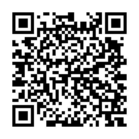 QR code for DZDT40