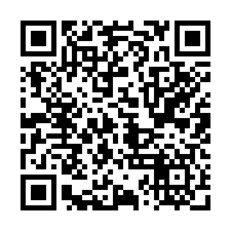 QR code for DZI307