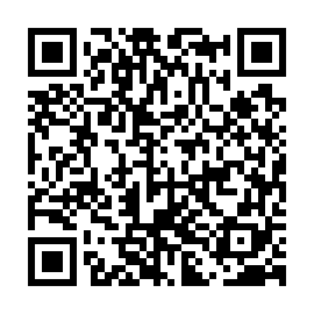 QR code for ELE768