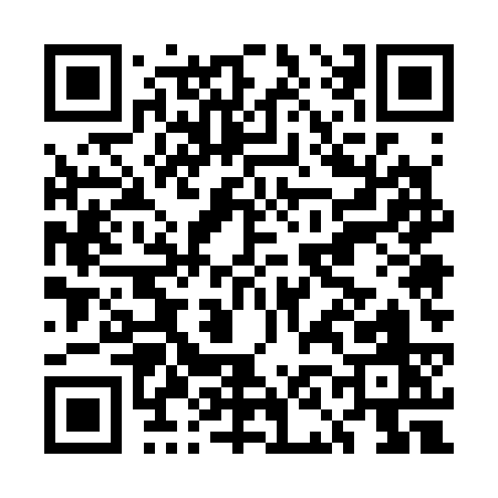 QR code for EN533