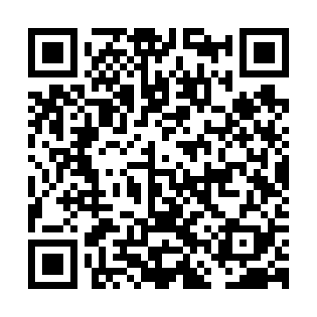 QR code for FFVV29