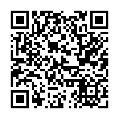 QR code for FJP369