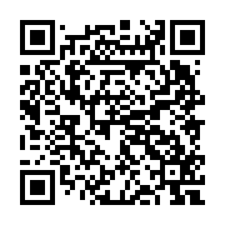 QR code for FJX617