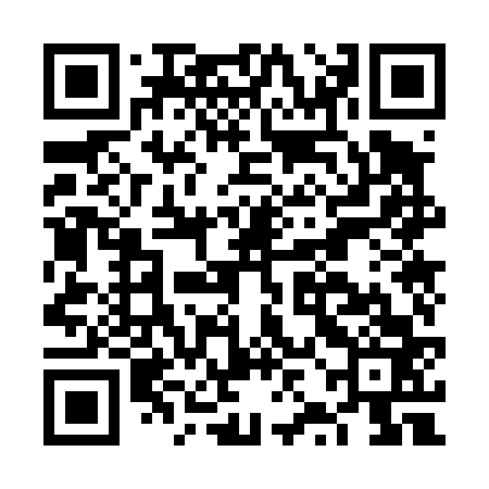 QR code for FZO463
