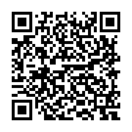 QR code for GEI991