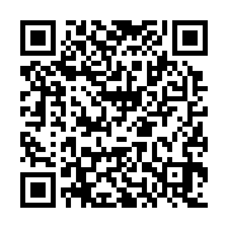 QR code for GOV333