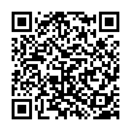 QR code for GPN938