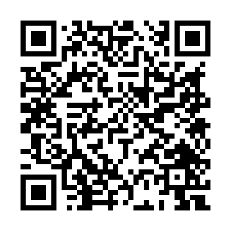 QR code for HF384