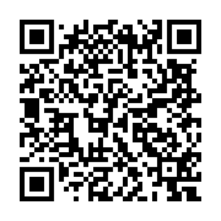 QR code for HLSM11