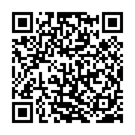 QR code for HLZP11