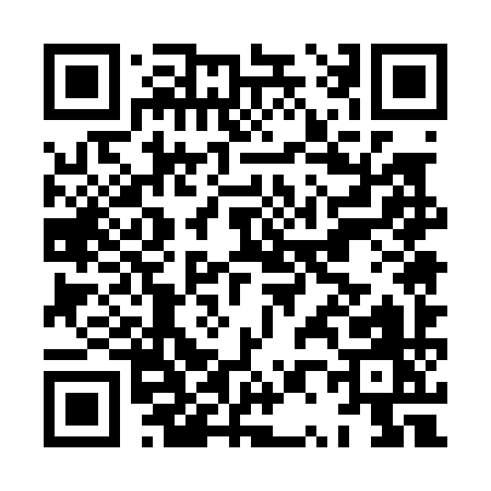 QR code for HP509