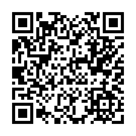 QR code for HQ919