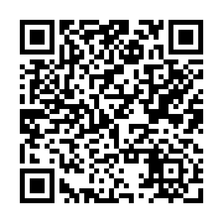 QR code for HQZ313