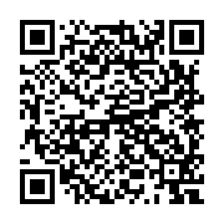 QR code for HUO993