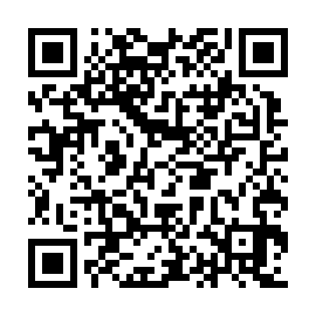QR code for IAEJ33
