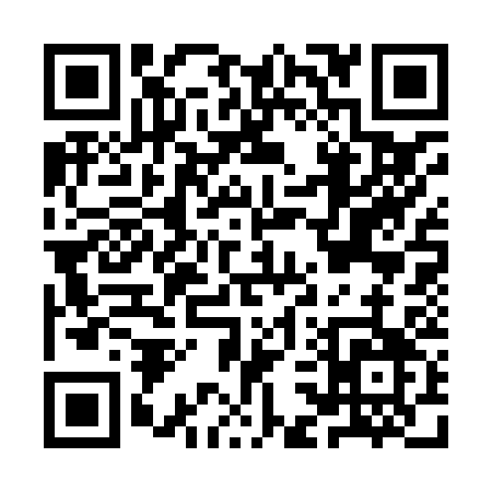 QR code for IC383