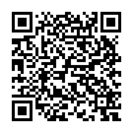 QR code for ICEJ29