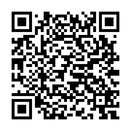 QR code for ICEQ29