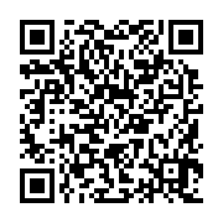 QR code for ICI384