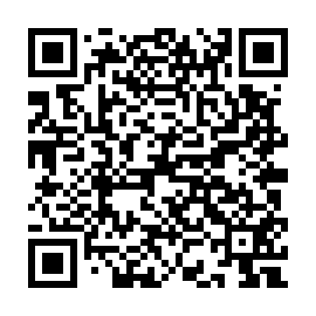 QR code for ICLU51