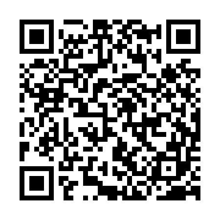 QR code for ICPN52