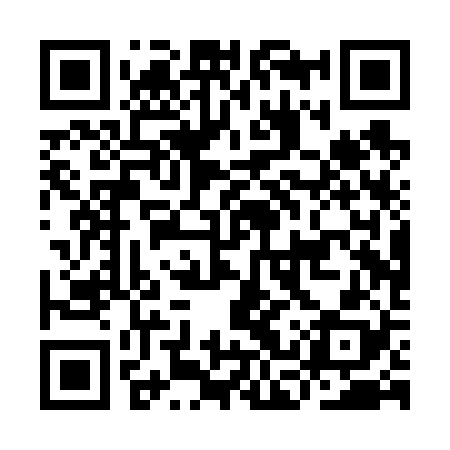 QR code for ICPV28