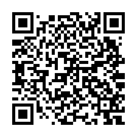 QR code for ICVV13