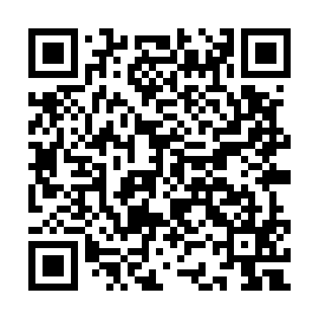 QR code for ICYU95