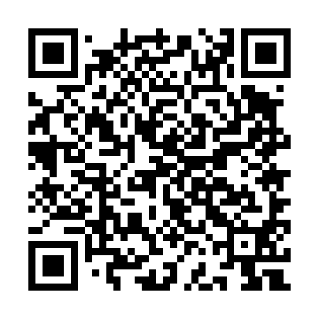 QR code for IFE490