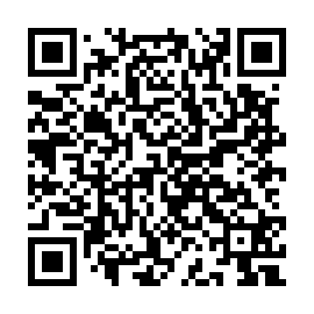 QR code for IFHE20