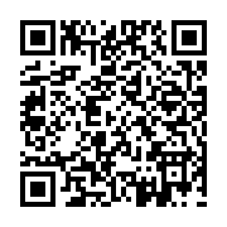 QR code for IG539