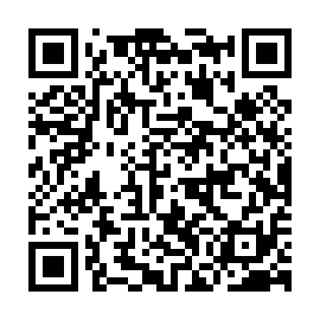 QR code for IGDP11